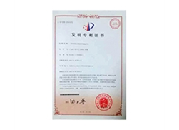 Patent Certificate 4