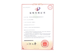 Patent Certificate 2